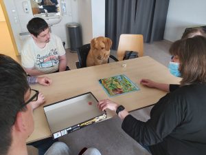 Fördergruppe Lebenshilfe Bernburg gGmbH, WfbM Bernburg II