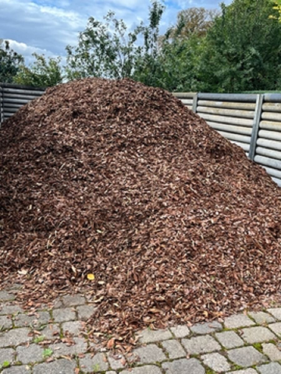 Gartenlandschaftsbau