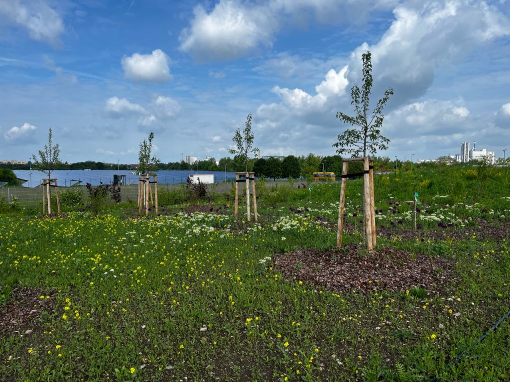 Klimaanpassung WfbM